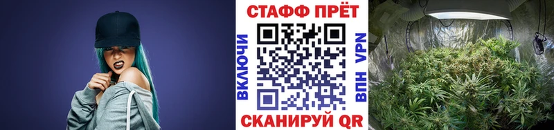 Наркошоп купить Псилоцибиновые грибы  Меф  МАРИХУАНА  Сосновка