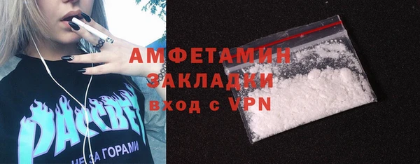 мдпв Протвино