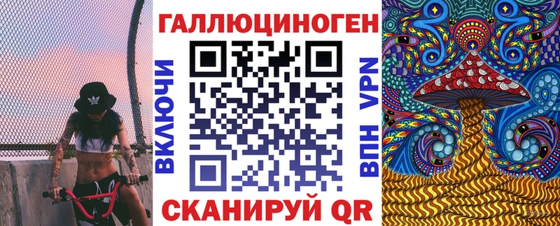 Купить  Сосновка  Псилоцибиновые грибы Psilocybine cubensis 